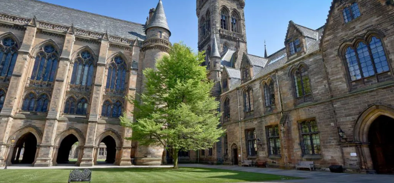 Ӣ����ѧ������״�ѧ�̿��о�����������Щ��