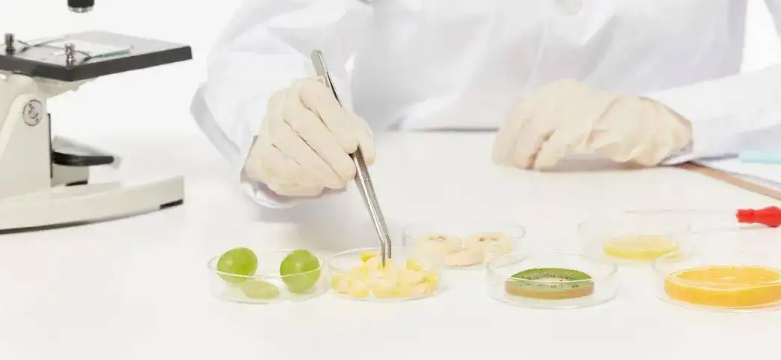 ��������ʦ֤����������֤����֤�����