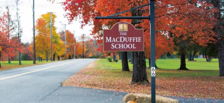 alevel���Ա���