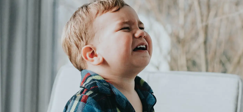 ��ͥ����ָ��ʦ����