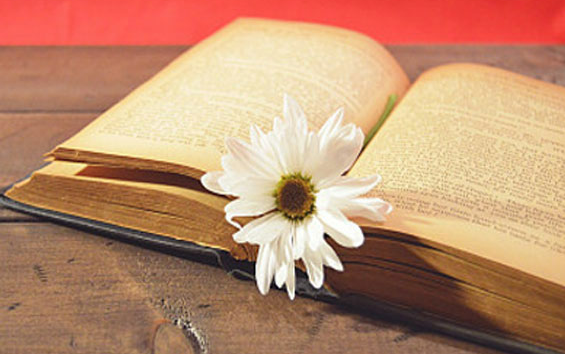 sat�ڶ��α�������