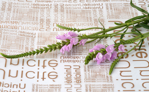 �ɿ�������Ҫ������ܱ�ҵ��ƾ������