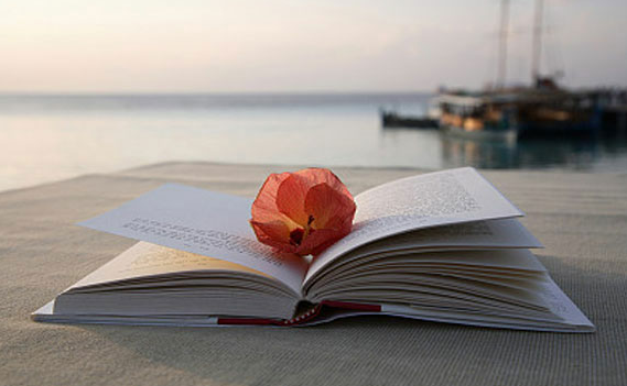 �Կ�����ѡ��רҵ֮ǰҪע��ʲô