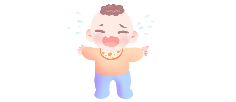 ��Ӥʦ֤��ô�������������ѵ��