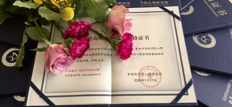 �п�Ժ������ѯʦ֤����ô�������ҳ�����