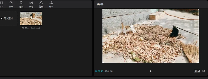 ��Ƶ������ҵ�ķ�չ���