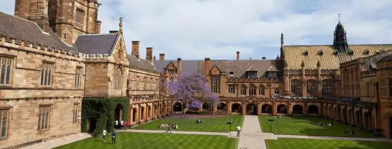 ����Ĵ�������ѧ���뱾����ѧ��ô����