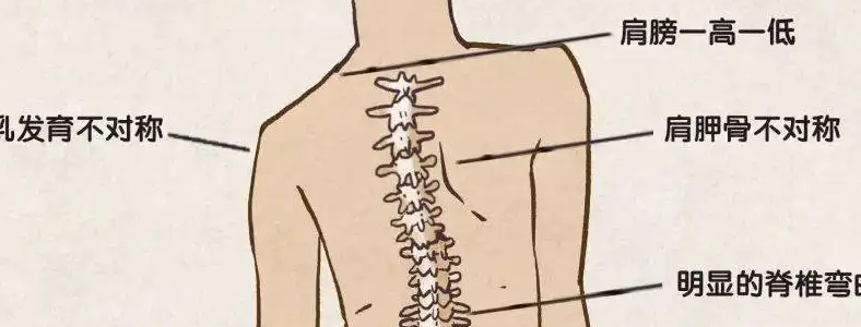 ��ô��鼹������