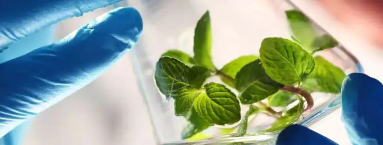 �����뻯�����п�Ŀ