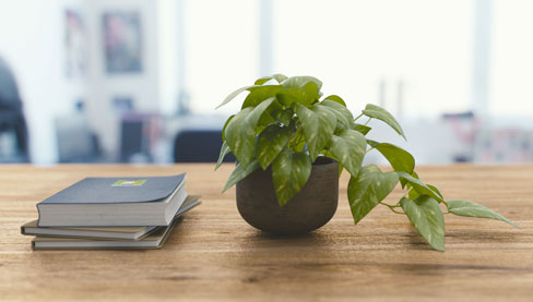 Ӫ��ʦ��������2022�����¹涨 �����������