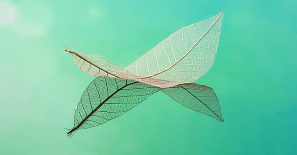 ��wps������ô�� wps���������