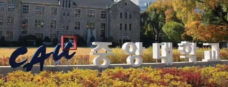 ������ѧ���������ѧ��ѧ��������Щ��