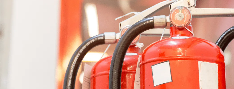 Ů��������֤�����𣿿��Կ�������һ�ࣿ