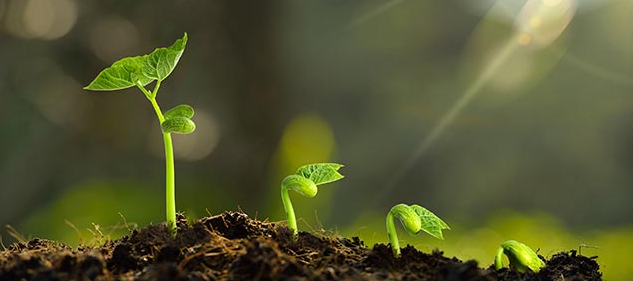 �Կ��ɼ���ó��� δͨ����ô��