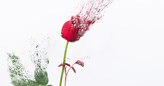 ���������ƾ��ʲô�� ���Կ�����Ա��