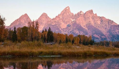 ����2022��Ӫ��ʦ����������ʲô ��ô����