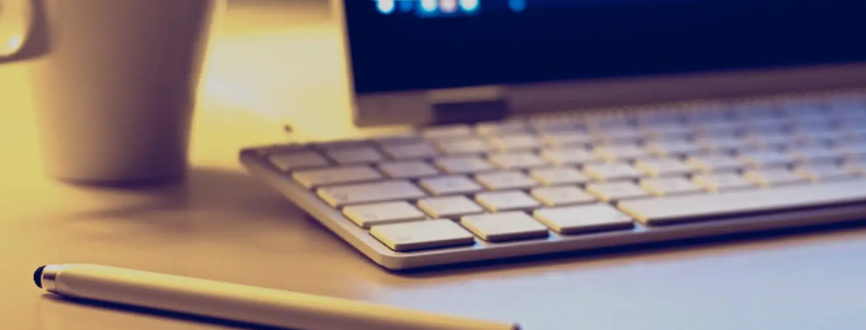 ������ɳ����������ѵ�����ļҺã�