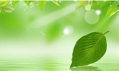 心理咨询师复习技巧