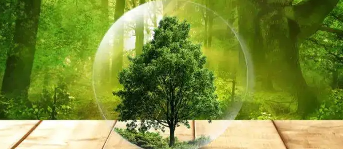 ��������ʦ������ô���� ��Ҫ����Ǯ