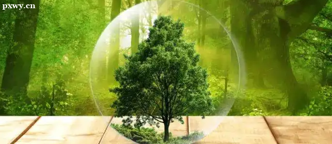 Ӫ��ʦ֤�������������ܴﵽ���� ��ҵǰ����ô��