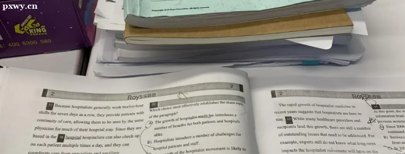 ��α���SAT�ķ���SAT��������