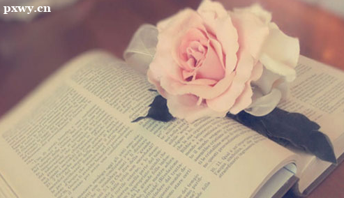 ���������ѧԺ��ѧ��ѧ����Ҫ������Щ