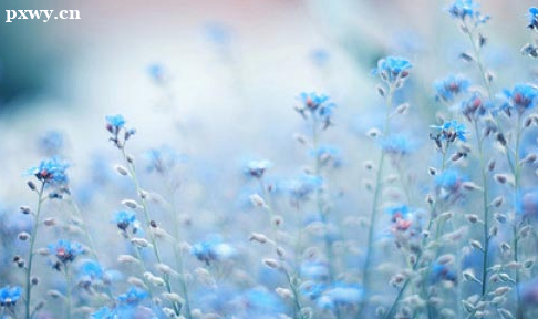 Ӫ��ʦ֤��ô����ʲô���� �ÿ���