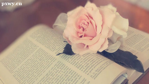 ����Ӫ��ʦ������ɶ�� ֤����;����Щ