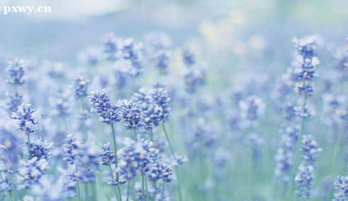 һ������ʦ�ò��ÿ� Ϊʲô��ô�ѿ�