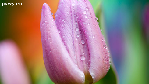 Զ�̽�����ʲô��˼ ��ҵ֤��������