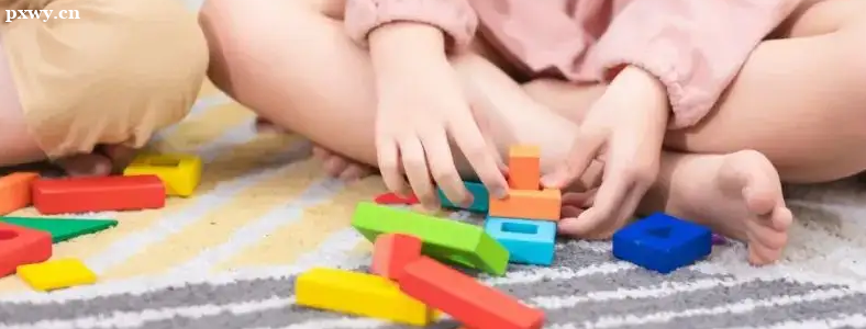 ������ͥ����ָ��ʦ������