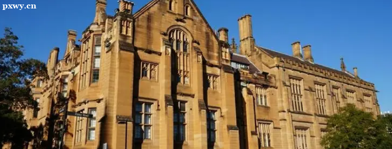 �Ĵ������о���������