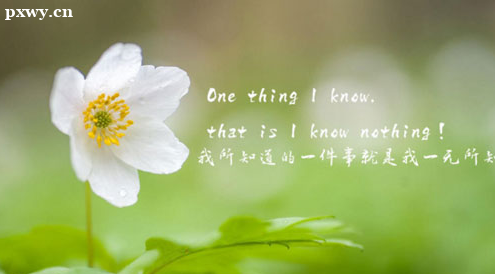 ����Ӫ��ʦ����ʱ����ʲôʱ�� ���Կ�Ŀ��ʲô