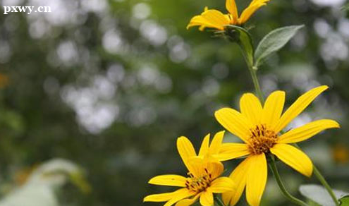  ������������������Щ ��ε���