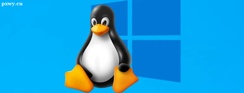 Linux��ôѧ��ѧ���ǲμ���ѵ��