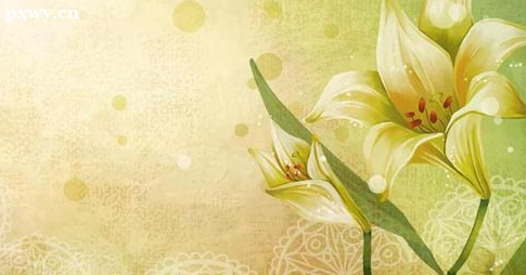 һ���˱���Ӫ��ʦ�ķ��ô�Լ�Ƕ���