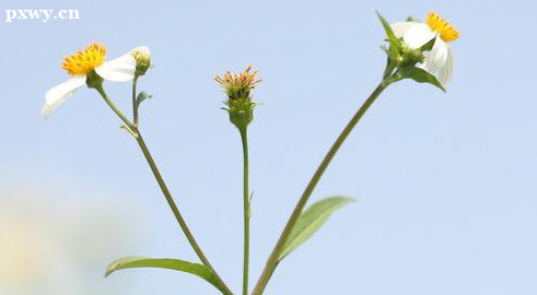 ������������ʦ����������ʱ��2022����ʱ��