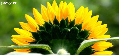 һ��ע����������ʦ����������ʲô רҵҪ������Щ