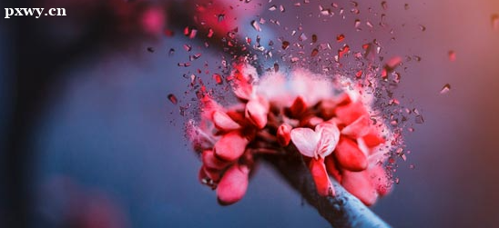 �и�����������������Щ