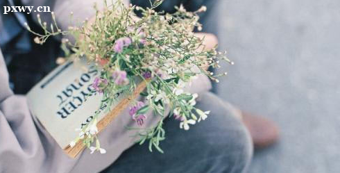 ����Կ�Ӫ��ʦ ���ı���