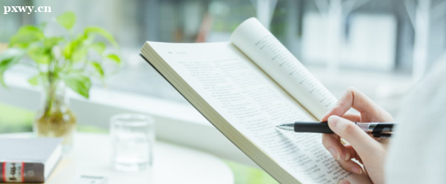 ��������Ա�Ĺ��ʴ������� �������Ƕ���