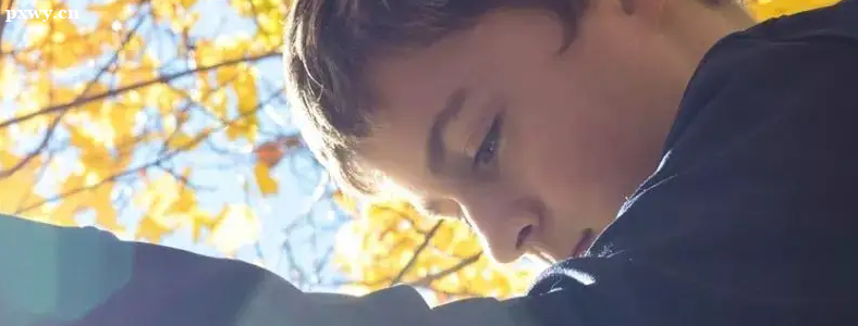 13����к�������������ν�����