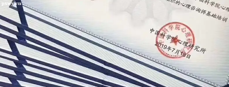 �п�Ժ������ѯʦ����������ĸ���