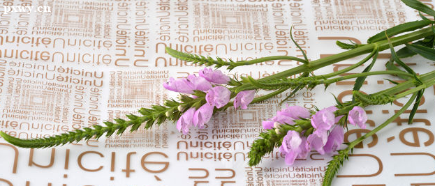 ��˼���Կ�ǰ��ô����