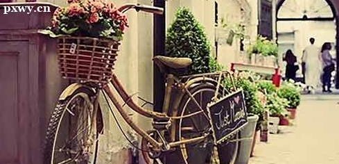 ������ѡ�������ѧ��ԭ��