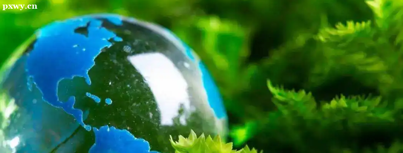 ��������ʦ֤��ô����������������ʦ����Щ������