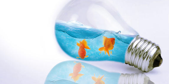 n2������ô׼��ʲô