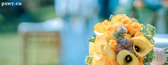 �׶���ѧ��ѧ���� �׶���ѧ��ѧ��������