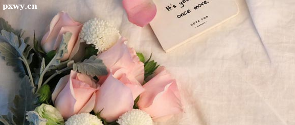 ������ѧ�о�����ѧ��������