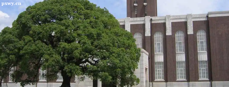 �ձ���ѧԺ�������ⳣ��������Щ��